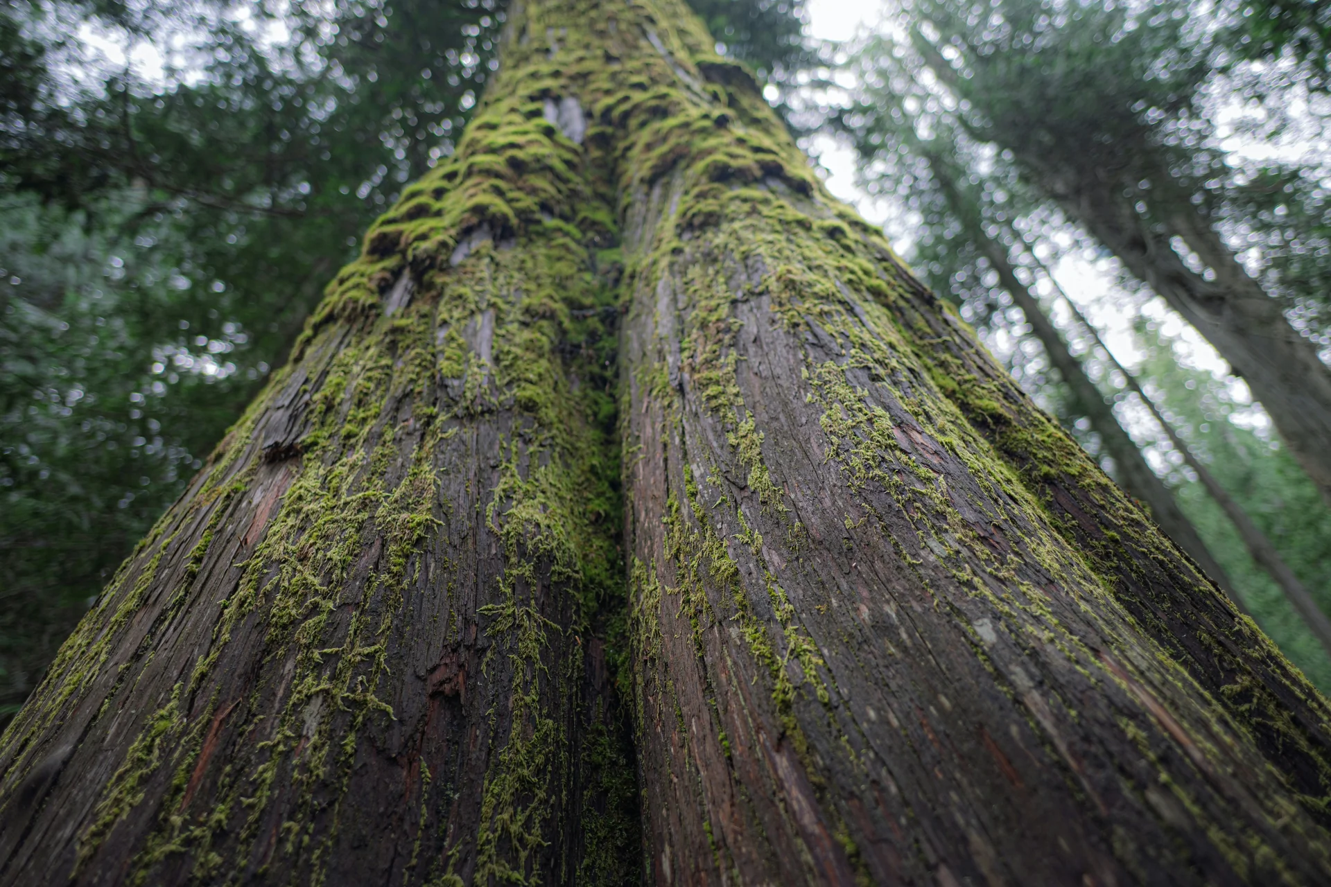 Virtual events thumbnail